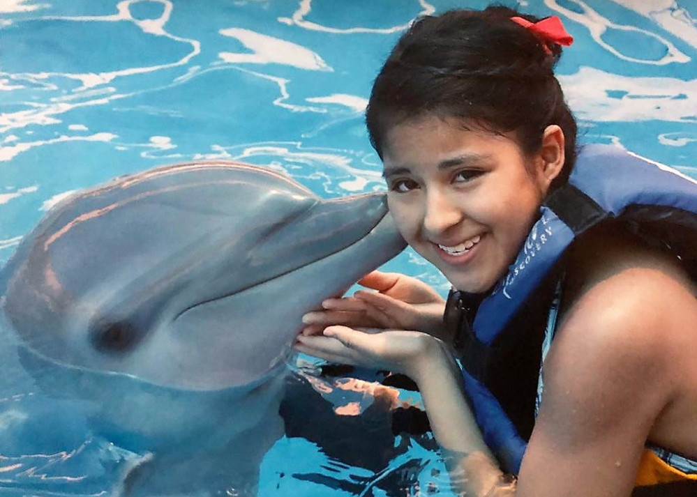 Dolphin Encounter in Puerto Vallarta 